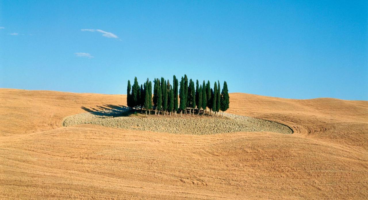 Appartamento Vecchio Mulino Isola d'Arbia エクステリア 写真